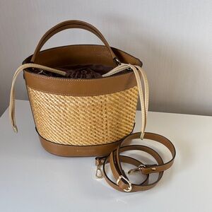 Chic Brown and Tan Mini Bag
